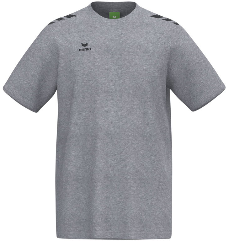 Erima Sport T-shirt CMPT 3 Wings (mixed fabric, quick-drying) grey men's