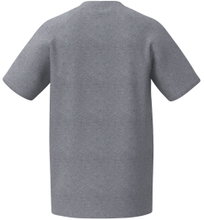 Erima Sport T-shirt CMPT 3 Wings (mixed fabric, quick-drying) grey men's