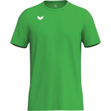 Erima Sport T-shirt Intro Function (100% recycled polyester, lightweight, quick-drying) green men's