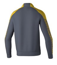 Erima Training Jacket Evo Star (Stand-up Collar, Durable) Grey/Yellow Men's