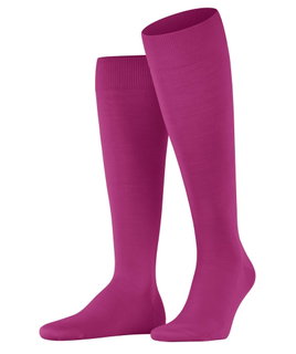 Falke Kniestrümpfe ClimaWool (feuchtigkeitsregulierend, Merinowolle) berrypink Herren - 1 Paar