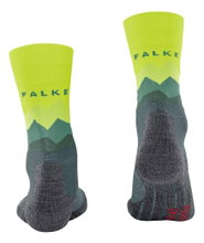 Falke Skarpetki trekkingowe Crew TK2 Explore (mieszanka wełny merino) stalowoszary/zielony mężczyźni - 1 para