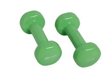 Schildkröt Fitness Dumbbells Vinyl (Iron/PVC) green Set 2x1,0kg
