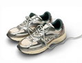 Flamingos Life Sneaker Wairoa - silber/beige/forestgrün