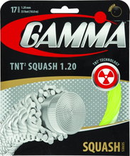 Besaitung mit Gamma TNT²