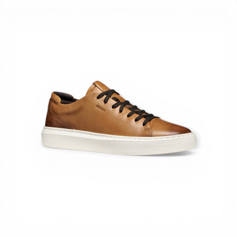 Geox Sneakers Deiven (Smooth Leather) 2026 brown men's