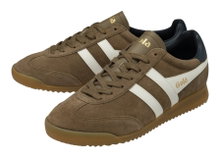 Gola Sneaker Torpedo Wildleder tobaccobraun/weiss/navy Herren