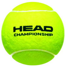 Head Tennisbälle Championship Dose 4er