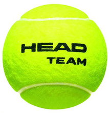 Head Tennisbälle Team Dose 4er