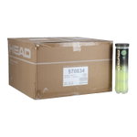 Head Tennisbälle Premium Tour XT Dose <b>36x4er Karton</b>