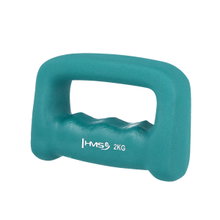 HMS Fitness Griffhantel CK20 (Schlagring) aus Gusseisen mit Neoprenbeschichtung - 2kg grün - 1 Stück