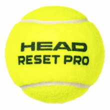 Head Tennisbälle Reset Pro (drucklos) gelb Dose 4er
