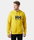 Helly Hansen Kapuzenpullover Logo Hoodie (Bio-Baumwolle) gelb Herren
