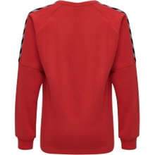 hummel Sport long-sleeved shirt hmlAUTHENTIC Training Sweat (sweat fabric, ribbed cuffs) red Kids