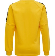 hummel Sport Long Sleeve Shirt hmlAUTHENTIC Training Sweat (sweat fabric, ribbed cuffs) yellow Kids