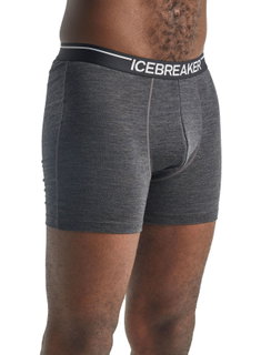 Icebreaker Bokserki Anatomica (Wełna Merino) Bielizna szara Mężczyźni