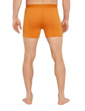 Icebreaker Boxershort Anatomica (Merinowolle) Unterwäsche gelb Herren