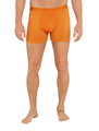 Icebreaker Anatomica Boxershorts (Merino Wool) Underwear Yellow Men's