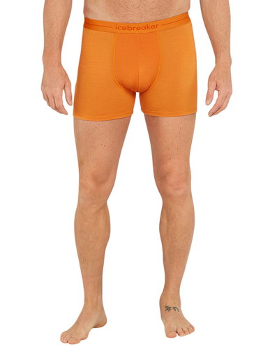 Icebreaker Boxershort Anatomica (Merinowolle) Unterwäsche gelb Herren