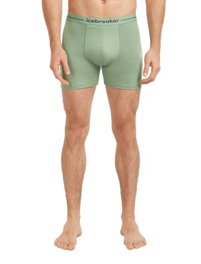 Icebreaker Boxershort Anatomica (Merinowolle) Unterwäsche sea grün Herren
