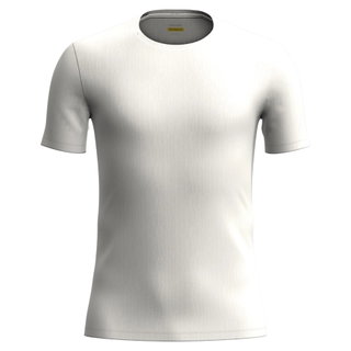 Icebreaker Underwear T-shirt Anatomica SS Crewe (Merino wool) cream white men's