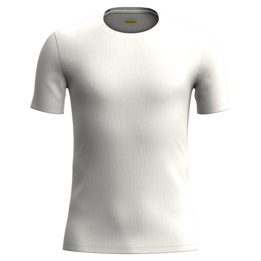 Icebreaker Unterwäsche Tshirt Anatomica SS Crewe (Merinowolle) creamweiss Herren