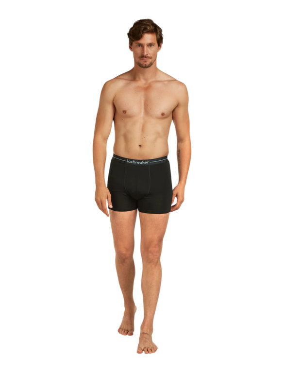 Icebreaker Underwear Boxer Shorts 150 Anatomica (Merino Wool) black Men's - 2 pieces