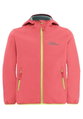 Jack Wolfskin Softshelljacke Fourwinds (winddicht, gefüttert) 2025 sunset pink/coral Mädchen (164-176)