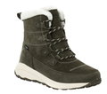 Jack Wolfskin Winterstiefel Dromoventure Texapore High (Texawarm-Isolierung, wasserdicht) mossgrün Damen
