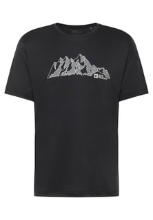 Jack Wolfskin Wander-Tshirt Peak Graphic (atmungsaktiv, schnelltrocknend) phantomgrau Herren