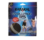 Karakal Squashsaite Evolution 115 silber 10m Set