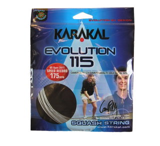 Karakal Squashsaite Evolution 115 silber 10m Set