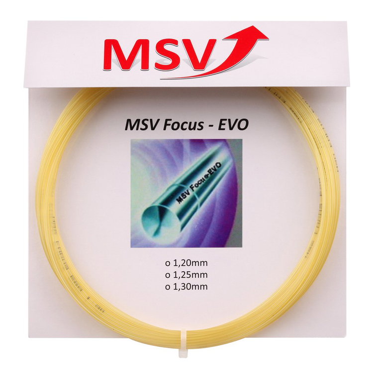 MSV Focus Evo natur Tennissaite