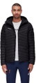Mammut Insulated Winter Jacket Albula Insulated Hooded (Hood, very light, PFC-free) black Men