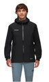 Mammut Hardshell Hiking Jacket Treeline HS Hooded (2-layer, waterproof, windproof) black men's