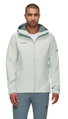 Mammut Hardshell-Wanderjacke Treeline HS Hooded (2-Lagen, wasserdicht, winddicht) silber/grau Herren