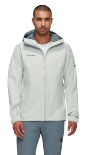 Mammut Hardshell Hiking Jacket Treeline HS Hooded (2-layer, waterproof, windproof) silver/grey men's