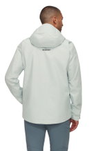 Mammut Hardshell-Wanderjacke Treeline HS Hooded (2-Lagen, wasserdicht, winddicht) silber/grau Herren