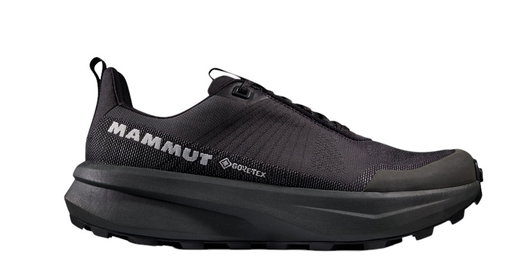 Mammut Wanderschuhe Aenergy Mtn Low GTX (Fast Hiking, wasserdicht) schwarz/stahlgrau Herren