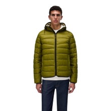 Napapijri Winter-Steppjacke Aerons (Daunenfüllung, mit Kapuze) avocadogrün Herren