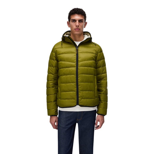 Napapijri Winter-Steppjacke Aerons (Daunenfüllung, mit Kapuze) avocadogrün Herren