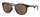 Oakley Sonnenbrille Hstn Polarisiert (Glasfarbe: Prizm tungsten polarized) olive ink - 1 Brille