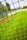 Powershot Fussballtor-Netz gestreift schwarz/gelb 7,32m x 2,44m x 2m x 2m