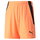 Puma Sporthose teamLIGA Shorts neonorange Kinder