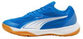 Puma Hallen-Indoorschuhe Solarflash III blau Herren