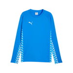 Puma Sport-Langarmshirt teamLIGA26 Training Sweat (100% rec. Polyester, atmungsaktiv) royalblau Herren