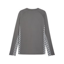 Puma Sport Long Sleeve Shirt teamLIGA26 Training Sweat (100% recycled Polyester, breathable) grey Men's