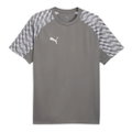 Puma Sport-Tshirt teamLIGA26 Jersey (100% rec. Polyester, atmungsaktiv) grau Herren
