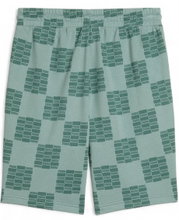 Puma Leisure Sports Shorts United AOP 10