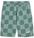 Puma Freizeit-Sporthose United AOP Shorts 10" TR (Baumwolle) kurz grün Herren